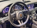 Daumennagel 18 - Porsche Panamera Sport Turismo 4 E-Hybrid Platinum Edition