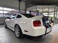 Daumennagel 2 - Ford Mustang Shelby GT 500 SVT