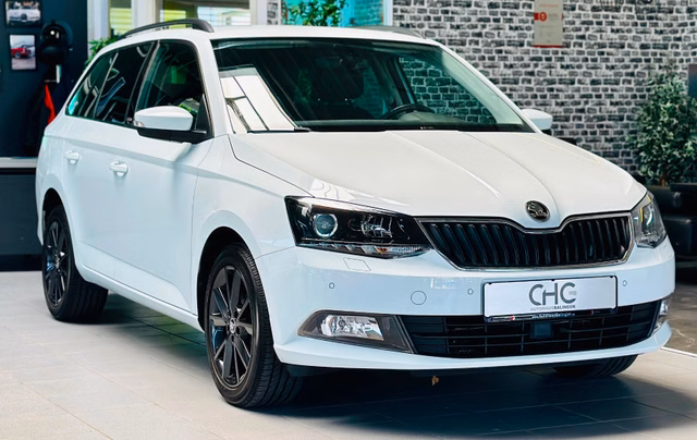 Skoda Fabia Combi Joy SHZ|PDC|MFL|TEMPOMAT| Gebrauchtwagen Kaufen | EZ 10/2016 | Preis 12.990 €