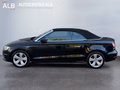 Daumennagel 4 - Audi A3 Ambition Cabriolet/AUTOMATIK/XENON/2.HAND/EURO.6/