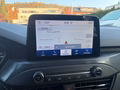 Daumennagel 17 - Ford Focus Turnier 1.5 EcoBoost ST-Line AHK/RFK/LED