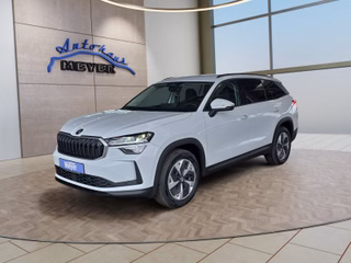 Skoda Kodiaq age.one-day registration Kaufen