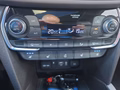 Daumennagel 20 - Hyundai SANTA FE Premium 2.2CRDi 200PS 4WD Vollausstattung!