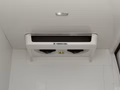 Daumennagel 14 - Citroën Jumper Kasten Kühler 35 L3H2/Thermo-King/