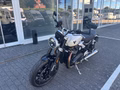 Thumbnail 8 - Triumph Speed Twin 1200 MY25 4 Jahre Garantie Kurven-ABS