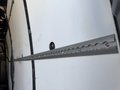 Daumennagel 31 - Iveco Daily 35S18 Webasto LED 3520 Hi-Mat AHK Asis Kli