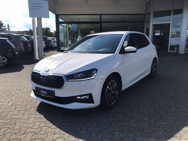 Skoda Fabia 1.0 TSI Tour, LED, PDC, Navi, Kamera, ACC, ...
