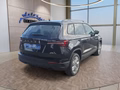 Daumennagel 5 - Skoda Karoq 1,5TSI DSG aAHK/ACC/Kamera/Winterp.       **