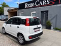 Thumbnail 4 - Fiat Panda 1.2 Pop/34TKM/I.HAND/ALLWETTER/TÜV-NEU/