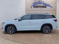 Daumennagel 2 - Skoda Kodiaq Sportline 1,5 TSI iV aAHK/Pano/Matrix/Navi  **