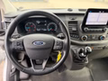 Daumennagel 11 - Ford Transit Custom Kasten 300 L2H1 Trend/Kamera/Spur