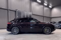 Daumennagel 4 - Porsche Cayenne Coupe E-Hybrid Platinum Edition