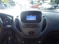 Daumennagel 19 - Ford Transit Courier Trend