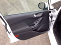 Daumennagel 17 - Ford Fiesta 1.0 EcoBoost S&S TITANIUM Winter-Paket