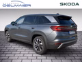 Daumennagel 4 - Skoda Kodiaq 2.0 TDI DSG 4x4 Selection AHK, 360°,