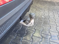 Daumennagel 25 - Mercedes-Benz GLB 35 AMG 4MATIC, PANO, DISTRONIC, 360°, LED