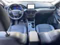 Daumennagel 12 - Ford Kuga Plug-In Hybrid Titanium X