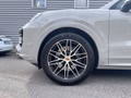 Daumennagel 11 - Porsche Cayenne E-Hybrid