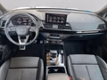 Daumennagel 16 - Audi SQ5 Matrix+AHK+Navi+B&O+Kamera