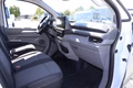 Daumennagel 40 - Volkswagen T7 Transporter Kasten LR 170 PS AUT AHK LED HOLZ