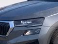Daumennagel 5 - Skoda Karoq 2.0 TDI Tour Matrix, Kessy, Panorama