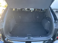 Daumennagel 7 - Ford Kuga 2.0 EcoBlue Aut. AWD ST-Line X ACC/HUD/BLIS