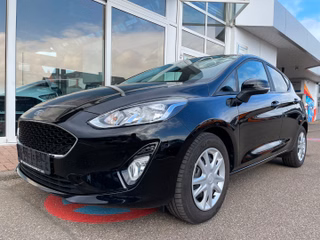 Ford Fiesta Gebrauchtwagen Kaufen