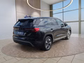 Daumennagel 7 - Skoda Kodiaq 1,5TSI DSG aAHK/7-Sitzer/Navi/ACC/el.Klappe