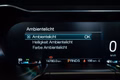 Daumennagel 22 - Ford Mustang GT 5.0 V8 Coupe|KLAPPEN-AGA|B&O|SPOILER