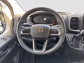 Daumennagel 9 - Fiat Ducato 140AT8 L3H2 35 Maxi Hochdach