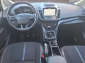Daumennagel 10 - Ford Grand C-Max 1.5TDCi 7-Sitzer/AHK/Navi/el.Klappe