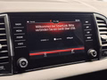 Daumennagel 30 - Skoda Karoq Sportline 4x4 CANTON|4xSHZ+LK|NAVI|VIRTUAL|DCC|TEMPOMAT