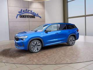 Skoda Kodiaq age.one-day registration Kaufen