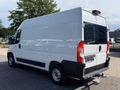 Daumennagel 3 - Peugeot Boxer Kasten Hochraum L2H2 Premium/Kamera/AHK