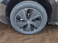 Daumennagel 16 - Skoda Kamiq Monte Carlo 1,5TSI DSG AHK/Matrix/el.Klappe