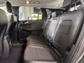 Daumennagel 11 - Ford Kuga Titanium X AWD