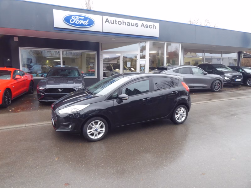 Ford Fiesta Celebration