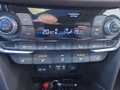 Daumennagel 19 - Hyundai SANTA FE Premium 2.2CRDi 200PS 4WD Vollausstattung!