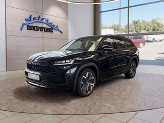 Skoda Kodiaq age.one-day registration Kaufen