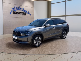 Skoda Kodiaq age.one-day registration Kaufen