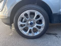 Daumennagel 7 - Ford EcoSport Titanium Anhängekupplung abnehmbar
