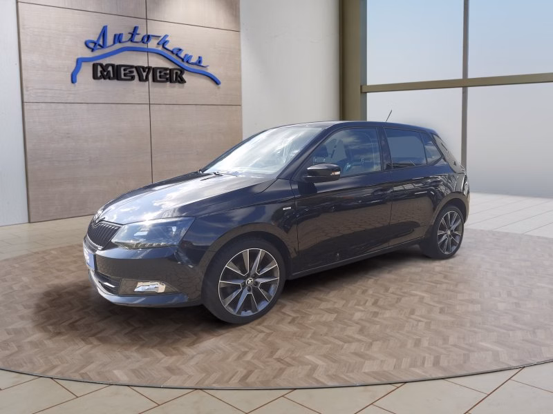 Skoda Fabia 1.0 TSI Drive Navi/WP/AHK/Sitzh./Temp.