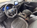 Daumennagel 9 - Ford Kuga PHEV Plug-In Hybrid ST-Line X
