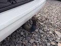 Daumennagel 15 - Volkswagen T6 Multivan Family AHK/RADIO/DAB+
