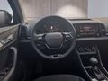 Daumennagel 12 - Skoda Karoq 1,5TSI DSG aAHK/ACC/Kamera/Winterp.       **