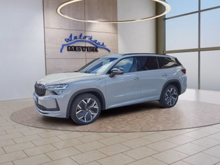 Skoda Kodiaq age.one-day registration Kaufen