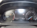Daumennagel 19 - Ford EcoSport ST-Line