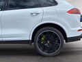 Daumennagel 10 - Porsche Cayenne S E-Hybrid Platnum Edition NAVI/LEDER/PANO/BI-XENON/RFK/LUFT