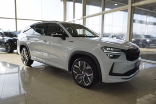 Skoda Kodiaq age.one-day registration Kaufen