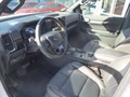 Daumennagel 7 - Ford Ranger Wildtrak e-4WD DK 60mm Gewindefahrwerk